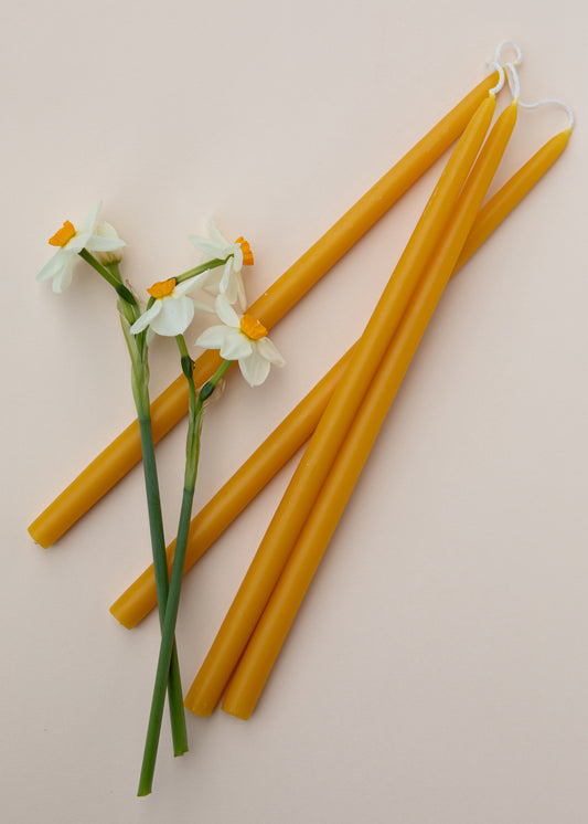 Beeswax Taper Candles